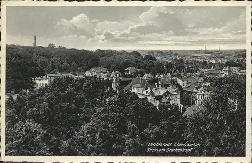 Eberswalde Blick vom Drachenkopf Kaiser Wilhelm Aussichtsturm Kat. Eberswalde