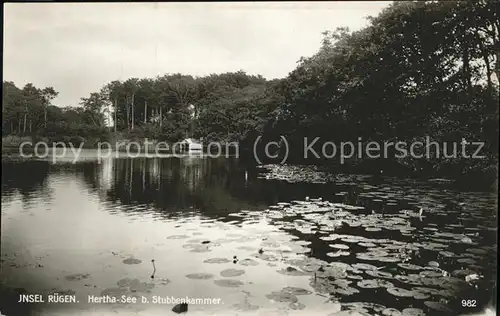 Stubbenkammer Ruegen Hertha See Teichrose Kat. Sassnitz