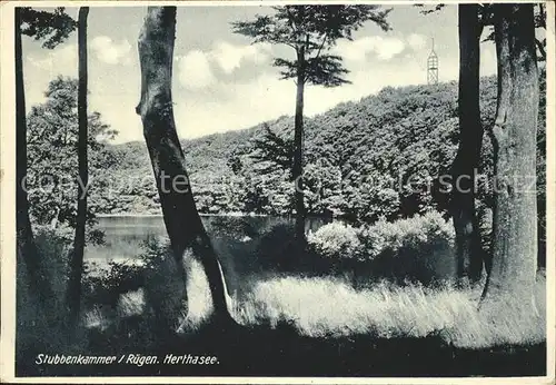 Stubbenkammer Ruegen Partie am Herthasee Kat. Sassnitz