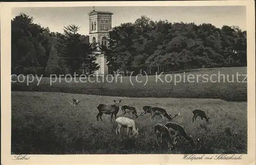 Putbus Ruegen Wildpark mit Schlosskirche Kat. Putbus