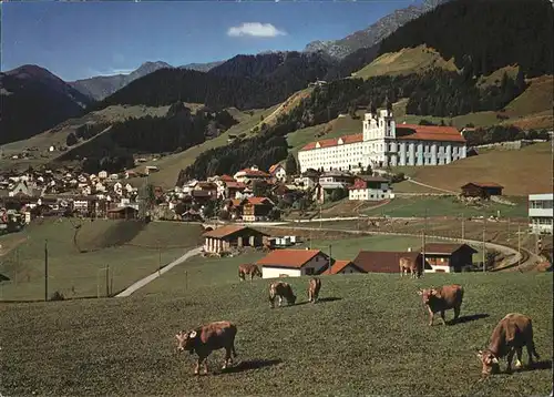 Disentis GR Muster Ortsansicht Kuehe Kat. Disentis