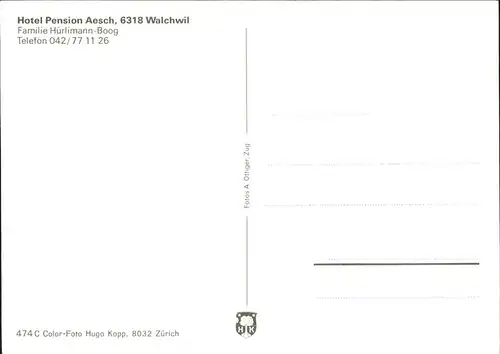 Walchwil Hotel Pension Aesch Teilansichten Kat. Walchwil