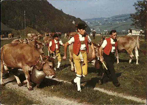 Appenzell IR Aufbruch zum Alpabtrieb im Kanton Appenzell Kat. Appenzell