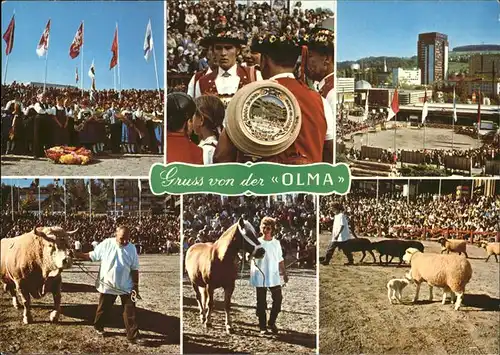 St Gallen SG Schweizer Landwirtschafts Messe Olma Kat. St Gallen