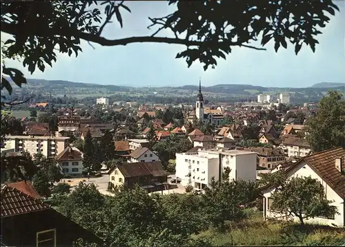 Weinfelden Panorama Kat. Weinfelden