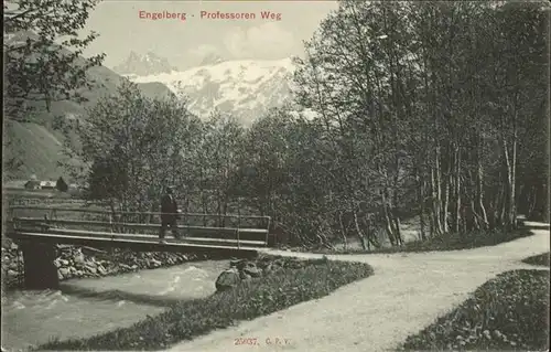 Engelberg OW Professoren Weg Kat. Engelberg