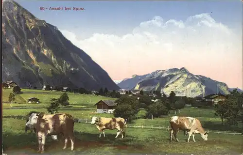 Aeschi Spiez Panorama Kuehe Kat. Aeschi Spiez