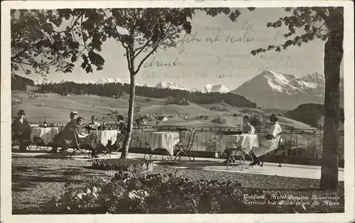 Goldiwil Hotel Pension Bluemlisalp Terrasse Kat. Goldiwil