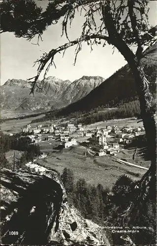 Pontresina Panorama mit Albula und Crasta Mora Kat. Pontresina