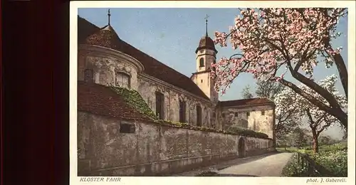 Kloster Fahr Baumbluete Kat. Unterengstringen