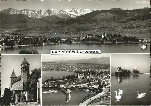 Rapperswil SG Panorama Zuerichsee Alpenblick Turm Kapelle Schwan Hafen Kat. Rapperswil SG