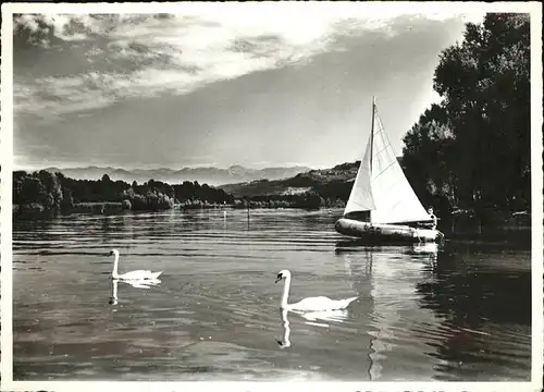 Altenrhein Partie beim Strandbad Schwan Kat. Altenrhein