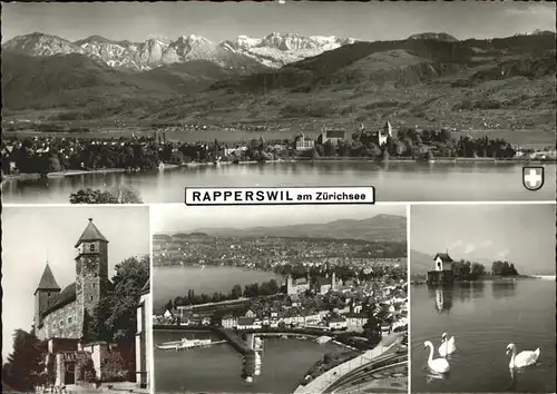 Rapperswil SG Panorama mit Zuerichsee Hafen Schwan Burg Kapelle Kat. Rapperswil SG