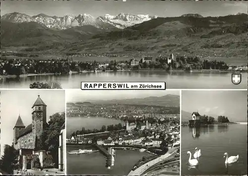 Rapperswil SG Panorama mit Zuerichsee Hafen Schwan Kapelle Burg Kat. Rapperswil SG