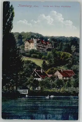 Ilsenburg Harz Hotel Waldhoehe *