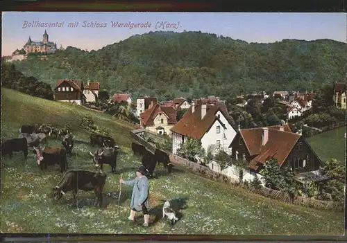 Wernigerode Harz Bollhasental
Schloss Wernigerode / Wernigerode /Harz LKR