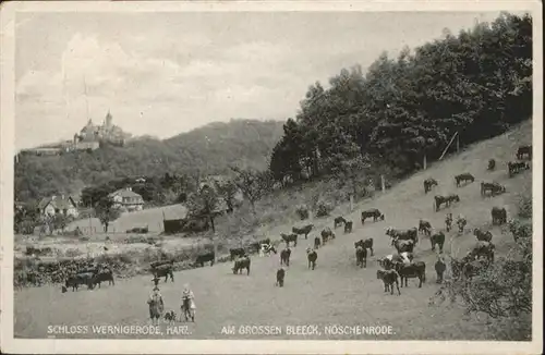 Wernigerode Harz Schloss Bleeck  / Wernigerode /Harz LKR