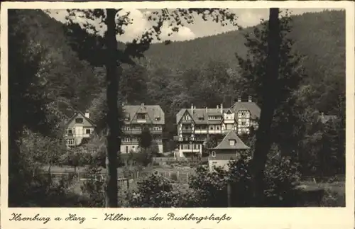 Ilsenburg Harz Villen Buchbergstrasse / Ilsenburg Harz /Harz LKR