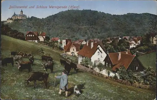 Wernigerode Harz Bollhasental Schloss Hirte Kuehe / Wernigerode /Harz LKR