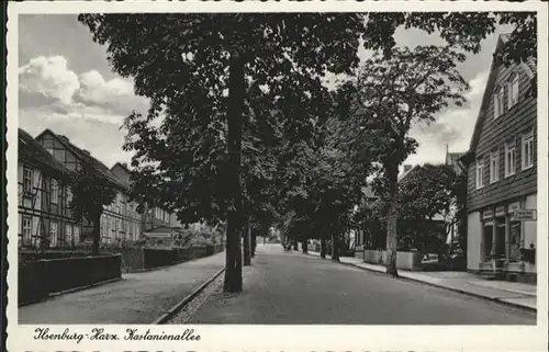 Ilsenburg Harz Kastanienallee / Ilsenburg Harz /Harz LKR