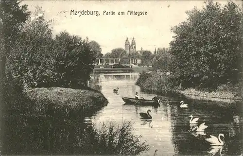 Magdeburg Mittagsee Schwan Boot / Magdeburg /Magdeburg Stadtkreis