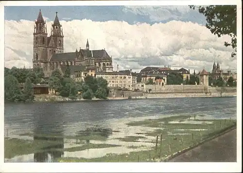 Magdeburg Dom Elbe / Magdeburg /Magdeburg Stadtkreis