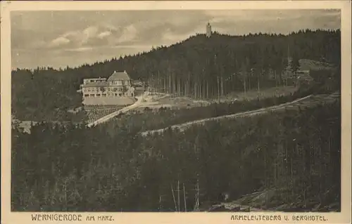 Wernigerode Harz Berg Hotel  Armeleuteberg / Wernigerode /Harz LKR