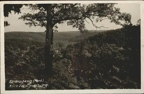 Falkenberg Mark Blick von der Carlsburg Kat. Falkenberg Mark