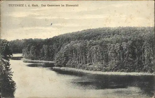 Tiefensee Bad Freienwalde Am Gamense Kat. Werneuchen