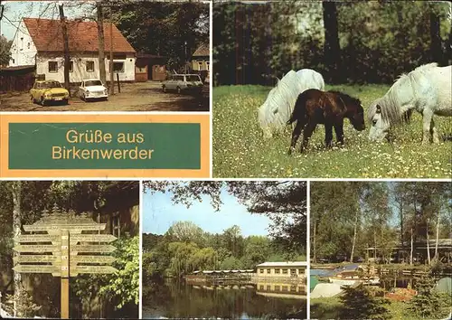 Birkenwerder Haus Wegweiser See Ponys Kat. Birkenwerder