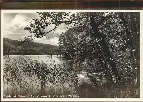 Tiefensee Bad Freienwalde Gamensee Blumental Kat. Werneuchen