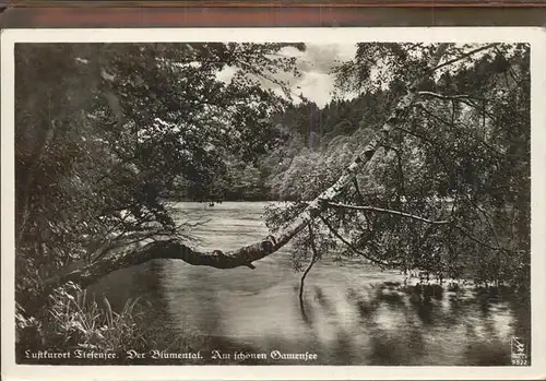 Tiefensee Bad Freienwalde Blumental Gamensee Kat. Werneuchen