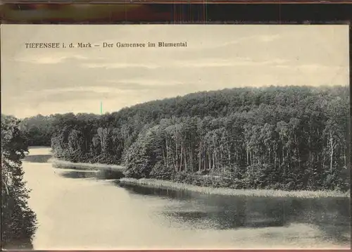 Tiefensee Bad Freienwalde Der Gamensee im Blumental Kat. Werneuchen