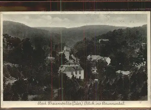 Bad Freienwalde Blick ins Brunnental Kat. Bad Freienwalde