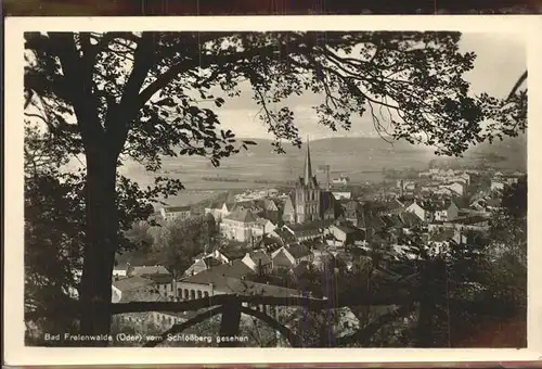 Bad Freienwalde Blick vom Schloss Kat. Bad Freienwalde