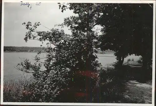 Fuerstenberg Mecklenburg Uferweg am Roeblinsee Luftkurort Kat. Neustrelitz