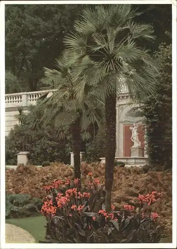 Potsdam Palmen im Sizilanischen Garten / Potsdam /Potsdam Stadtkreis