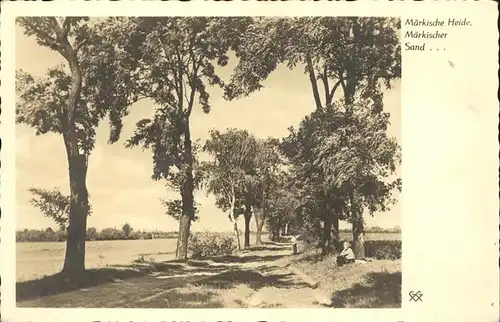 Maerkisch Buchholz Maerkische Heide Maerkischer Sand Baumallee Kat. Maerkisch Buchholz