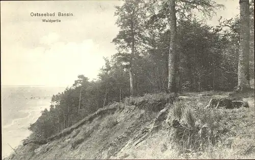 Bansin Ostseebad Waldpartie Kat. Heringsdorf