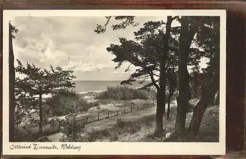 Zinnowitz Ostseebad Usedom Waldweg am Strand Kat. Zinnowitz