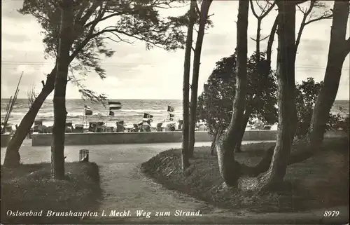 Brunshaupten Weg zum Strand Kat. Kuehlungsborn