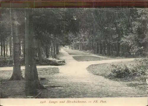 Brunshaupten Lange  u. Hirschschneese Kat. Kuehlungsborn