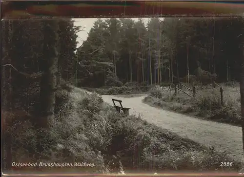 Brunshaupten Waldweg Kat. Kuehlungsborn