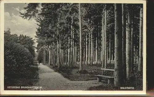 Brunshaupten Waldpartie Kat. Kuehlungsborn