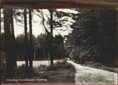 Brunshaupten Waldweg Kat. Kuehlungsborn