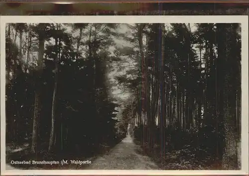 Brunshaupten Waldpartie Kat. Kuehlungsborn