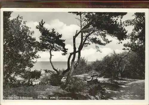 Arendsee Ostsee Am Weg zum Riedenkrug Kat. Kuehlungsborn