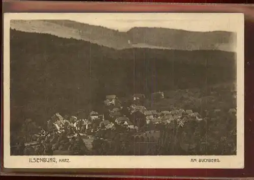 Ilsenburg Harz Panorama am Buchberg Kat. Ilsenburg Harz