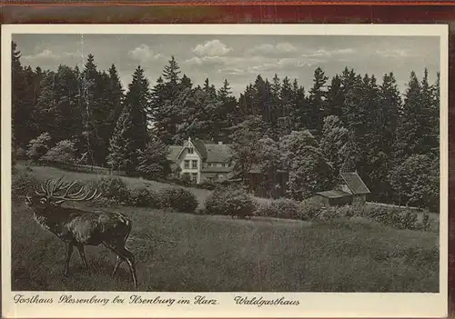 Ilsenburg Harz Forsthaus Plessenburg Waldgasthaus Hirsch Kat. Ilsenburg Harz