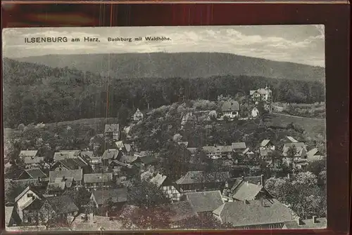 Ilsenburg Harz Panorama mit Buchberg und Waldhoehe Kat. Ilsenburg Harz